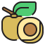 Fruit icon 64x64