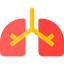 Lungs icon 64x64