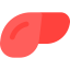 Liver icon 64x64
