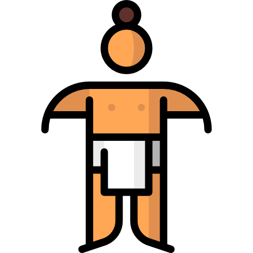 Sumo icon