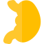 Stomach icon 64x64