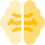 Brain icon 64x64