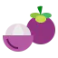 Mangosteen icon 64x64