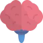 Brain icon 64x64