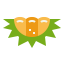 Durian icon 64x64