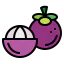 Mangosteen icon 64x64