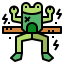Frog icon 64x64