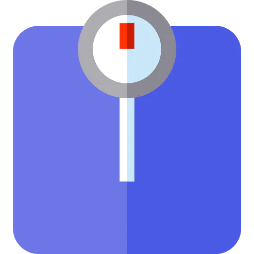 Scale icon