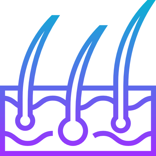 Epidermis icon