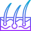 Epidermis icon 64x64