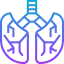 Lungs icon 64x64