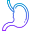 Stomach icon 64x64