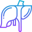Liver icon 64x64