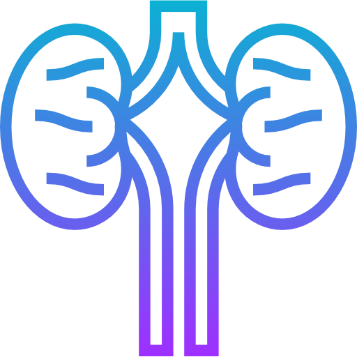 Kidneys icon