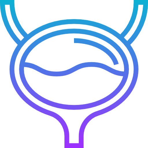 Bladder icon