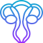 Uterus icon 64x64
