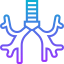 Bronchus icon 64x64