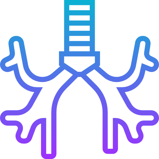 Bronchus icon