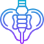 Pelvis icon 64x64