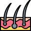 Epidermis icon 64x64