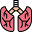 Lungs icon 64x64