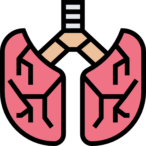 Lungs icon