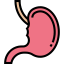 Stomach icon 64x64