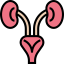 Kidneys icon 64x64