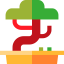 Bonsai icon 64x64