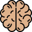Brain icon 64x64