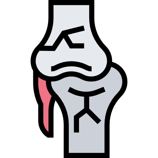 Knee icon