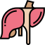 Liver icon 64x64