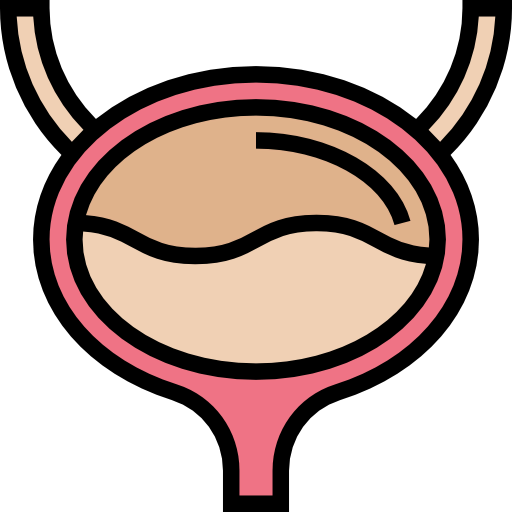 Bladder icon