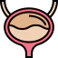 Bladder アイコン 64x64