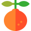 Orange icon 64x64