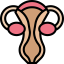 Uterus icon 64x64