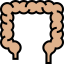 Intestine icon 64x64