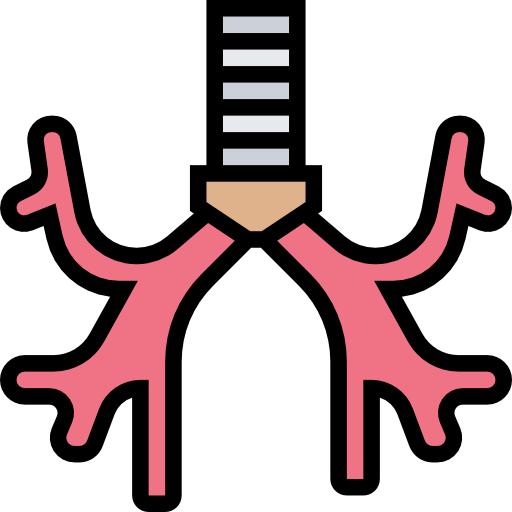 Bronchus icon