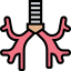 Bronchus icon 64x64