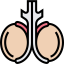Testicles icon 64x64