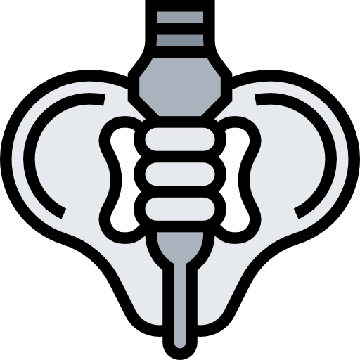 Pelvis icon