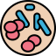 Chromosome icon 64x64