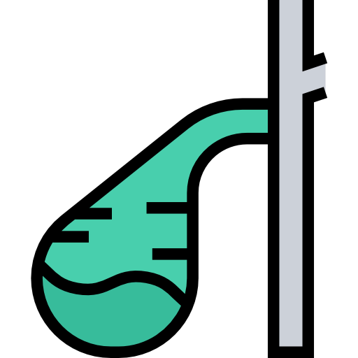 Gallbladder Symbol