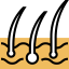 Epidermis icon 64x64