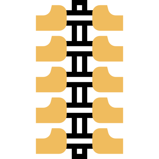 Spine icon