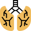 Lungs icon 64x64