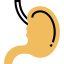 Stomach icon 64x64