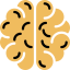 Brain icon 64x64