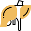 Liver icon 64x64
