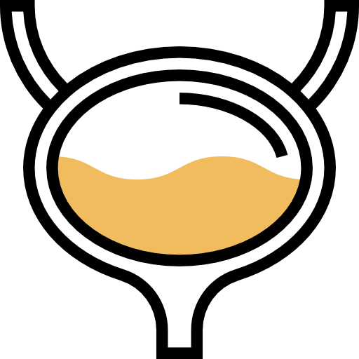 Bladder icon